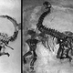 Illustration for article titled The Original Jurassic Park